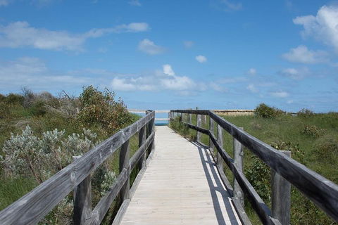 Yanchep & Lancelin - Wildlife, Cave And Sands - Hotel VIC 2