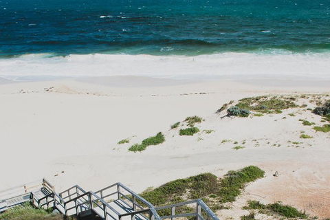 Yanchep & Lancelin - Wildlife, Cave And Sands - Hotel VIC 5