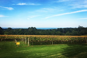 Yarra Valley Private Car Winery Tour And Chocolate.1-7 Passengers One Car Price
