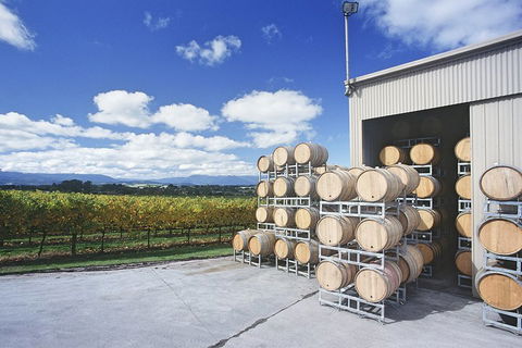 Yarra Valley Private Car Winery Tour And Chocolate.1-7 Passengers One Car Price - Hotel VIC 2