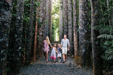 Paronella Park And Millaa Millaa Falls Full-day Tour From Cairns - Hotel VIC 5