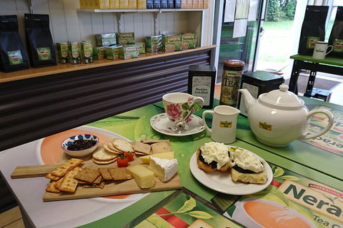 Atherton Tablelands Small-Group Food & Wine Tasting Tour From Port Douglas - Hotel VIC 5