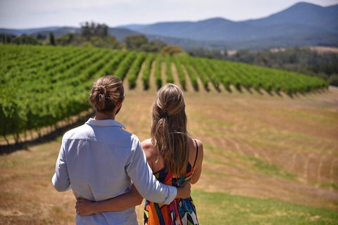 Yarra Valley Wine, Bubbles And Gin Tour! - Hotel VIC 4