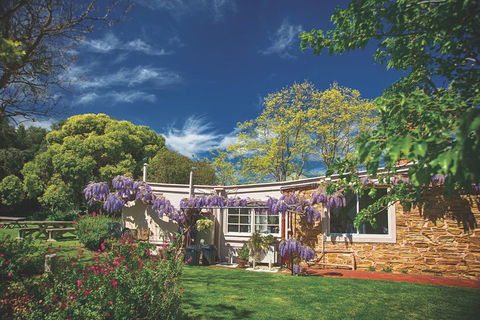 McLaren Vale Winery Small Group Tour With Wine Tasting And Lunch - Hotel VIC 2