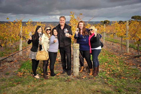 McLaren Vale Winery Small Group Tour With Wine Tasting And Lunch - Hotel VIC 3