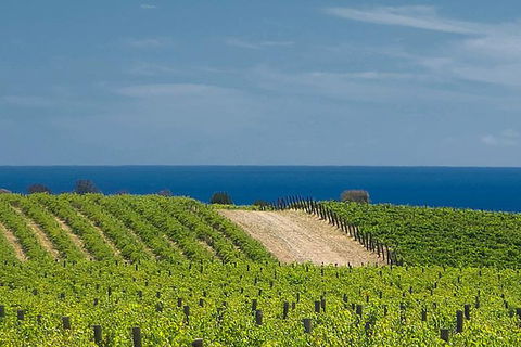 McLaren Vale Winery Small Group Tour With Wine Tasting And Lunch - Hotel VIC 4