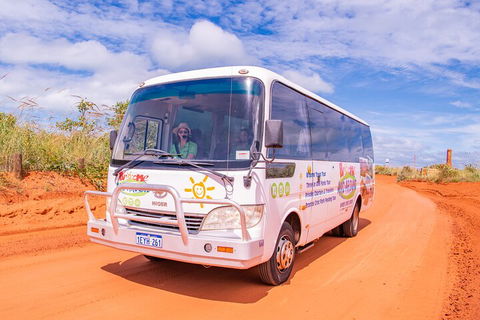 Malcolm Douglas Crocodile Park Tour Including Transportation - Hotel VIC 3