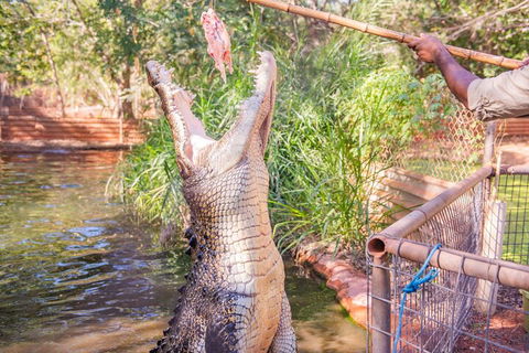 Malcolm Douglas Crocodile Park Tour Including Transportation - Hotel VIC 5