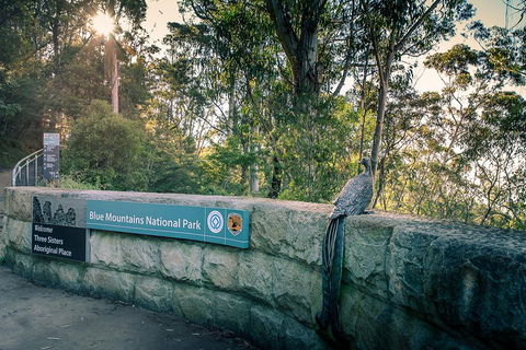 Ultimate Blue Mountains Waterfalls, Walks & Sunset PRIVATE Tour - Hotel VIC 3