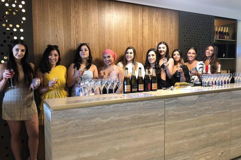 Yarra Valley Public Winery Tours - Hotel VIC 0