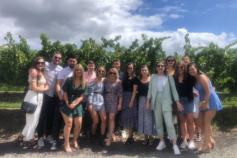 Yarra Valley Public Winery Tours - Hotel VIC 3
