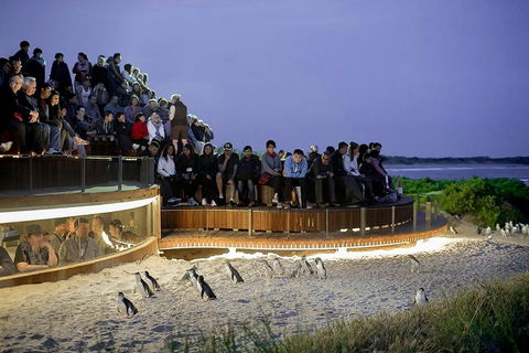 Phillip Island And French Island Wildlife Expedition - Hotel VIC 5