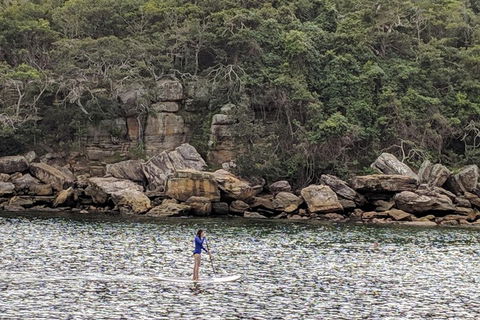 Manly & Sydney's Northern Beaches With 'Personalised Sydney Tours' - Hotel VIC 3