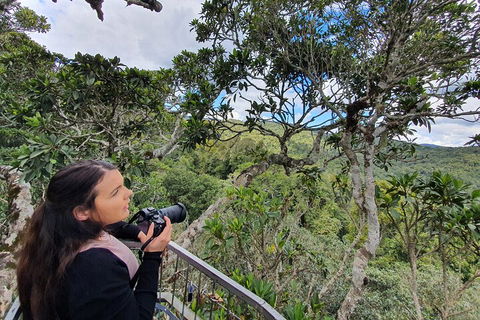 Lamington National Park, O'Reilly's & Vineyard Tour - Hotel VIC 1