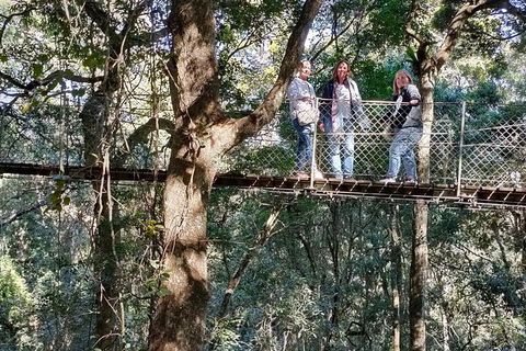 Lamington National Park, O'Reilly's & Vineyard Tour - Hotel VIC 2