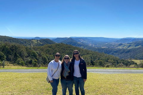 Lamington National Park, O'Reilly's & Vineyard Tour - Hotel VIC 3