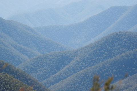 From The Mountains To The Bay - 4 Day Rediscovery Private Tour - Hotel VIC 1