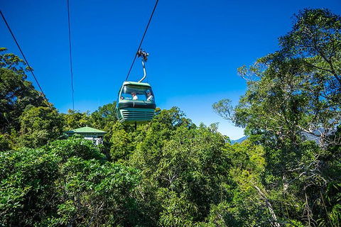 Skyrail Rainforest Cableway Day Trip From Cairns - Hotel VIC 1