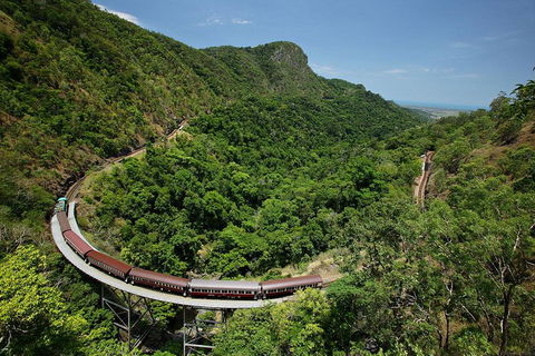 Skyrail Rainforest Cableway Day Trip From Cairns - Hotel VIC 5