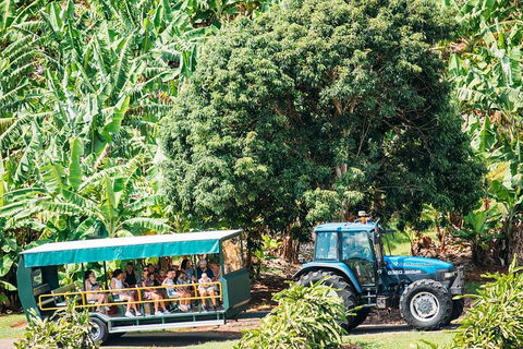 Northern Rivers Full Day Wine Tour - Hotel VIC 1