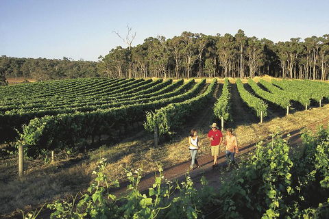 Margaret River, Caves, Wine And Cape Leeuwin Lighthouse Tour From Perth - Hotel VIC 1
