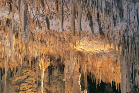 Margaret River, Caves, Wine And Cape Leeuwin Lighthouse Tour From Perth - Hotel VIC 3