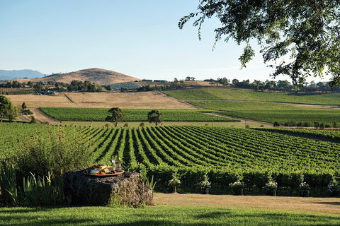 Yarra Valley 2-6 Guests Premium Food And Wine Inc Lunch At Dominique Portet - Hotel VIC 2