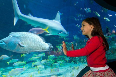 Melbourne BIG Ticket - LEGOLAND Discovery And SEA LIFE Melbourne - Hotel VIC 1