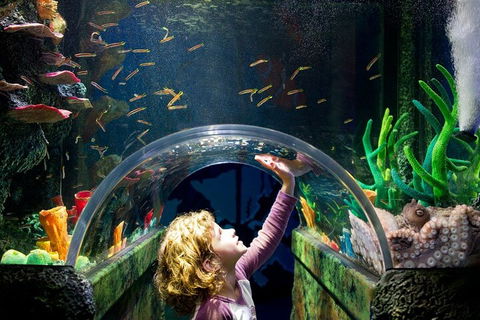Melbourne BIG Ticket - LEGOLAND Discovery And SEA LIFE Melbourne - Hotel VIC 2