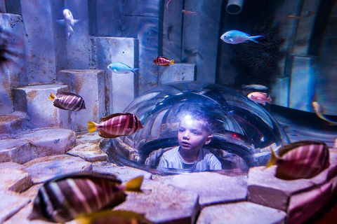 Melbourne BIG Ticket - LEGOLAND Discovery And SEA LIFE Melbourne - Hotel VIC 5