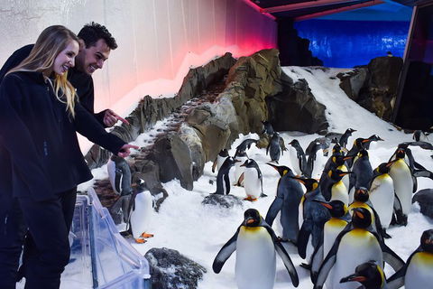 Penguin Passport At SEA LIFE Melbourne Aquarium - Hotel VIC 0