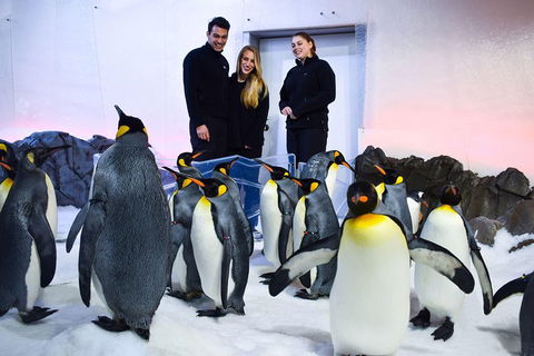 Penguin Passport At SEA LIFE Melbourne Aquarium - Hotel VIC 4