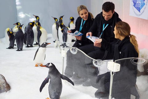 Penguin Passport At SEA LIFE Melbourne Aquarium - Hotel VIC 5