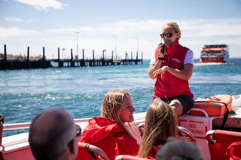 Adventure Rottnest Tour With Ferry & Adventure Cruise From Perth Or Fremantle - Hotel VIC 4