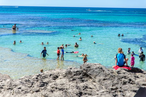 Rottnest Island Roundtrip Fast Ferry From Hillarys Boat Harbour - Hotel VIC 1