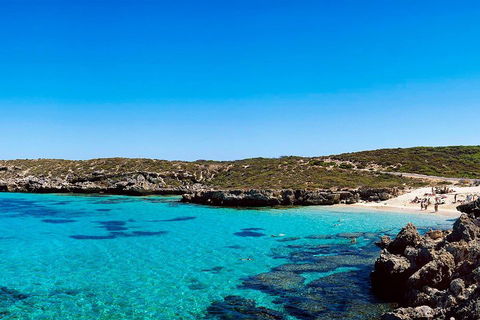 Rottnest Island Roundtrip Fast Ferry From Hillarys Boat Harbour - Hotel VIC 4