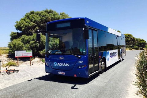 Rottnest Bayseeker Bus Tour From Hillarys Boat Harbour - Hotel VIC 0
