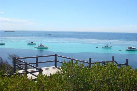 Rottnest Bayseeker Bus Tour From Hillarys Boat Harbour - Hotel VIC 3