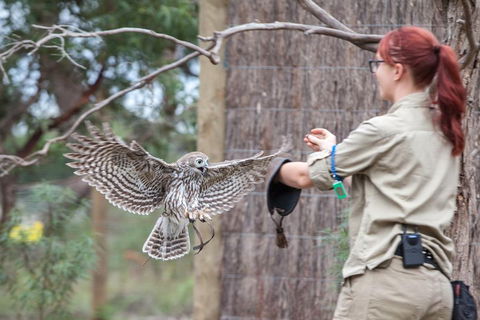 Moonlit Sanctuary Wildlife Conservation Park Daytime General Entry Ticket - Hotel VIC 1