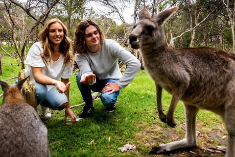 Moonlit Sanctuary Wildlife Conservation Park Daytime General Entry Ticket - Hotel VIC 2