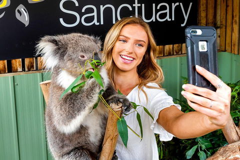 Moonlit Sanctuary Wildlife Conservation Park Daytime General Entry Ticket - Hotel VIC 4