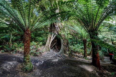 Adelaide To Melbourne 3-Day Trip Through Grampians And Great Ocean Road - Hotel VIC 0