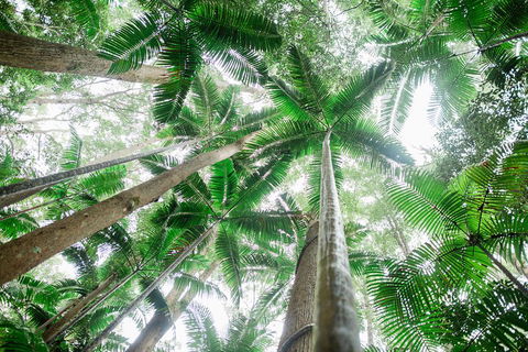 Fraser Explorer K'gari 2-Day Tour - Hotel VIC 2