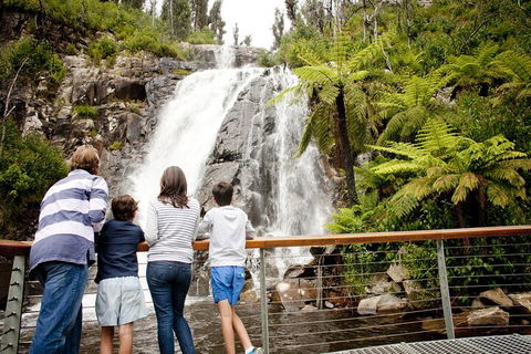 Lake Mountain Snow Trip Including Yarra Valley Chocolaterie From Melbourne - Hotel VIC 0