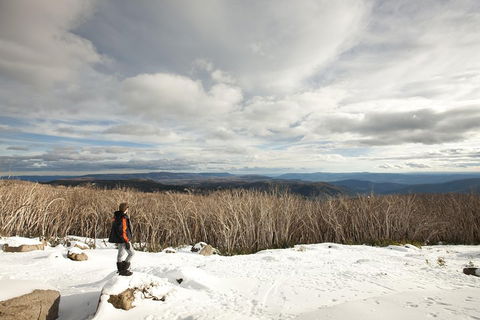Lake Mountain Snow Trip Including Yarra Valley Chocolaterie From Melbourne - Hotel VIC 5