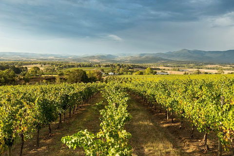 Yarra Valley Local Produce And Wine Tasting Tour - Hotel VIC 3
