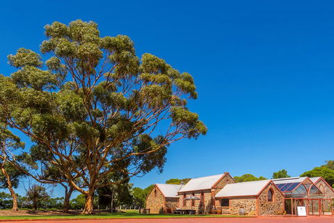 McLaren Vale And Glenelg Wine Tasting And Sightseeing (Half-day Afternoon) - Hotel VIC 5