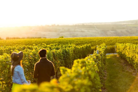 Margaret River Private Tour - Hotel VIC 2