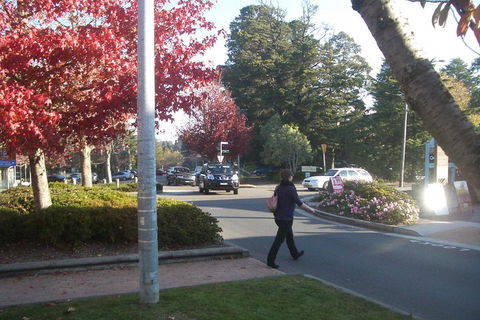 PRIVATE All-Day Blue Mountains Tour With Professional Guide For Up To 4 People - Hotel VIC 1