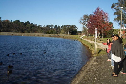 PRIVATE All-Day Blue Mountains Tour With Professional Guide For Up To 4 People - Hotel VIC 2